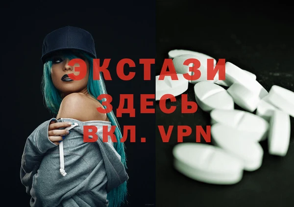 ECSTASY Богданович