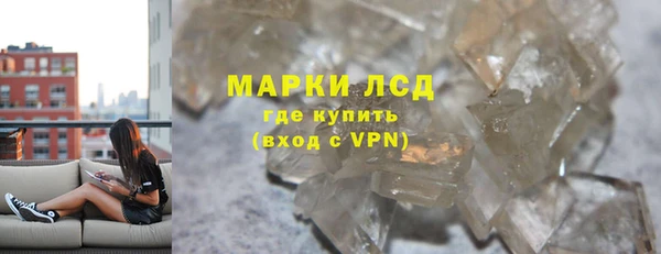 ECSTASY Богданович