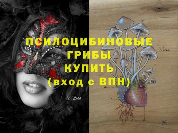ECSTASY Богданович