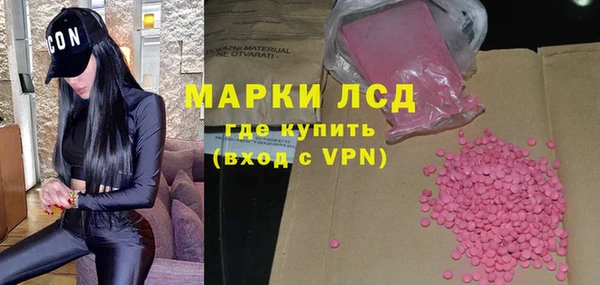 ECSTASY Богданович