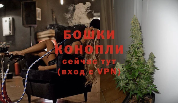 ECSTASY Богданович