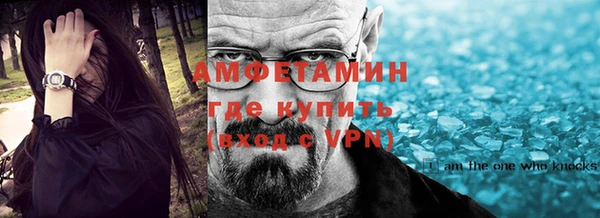 ECSTASY Богданович