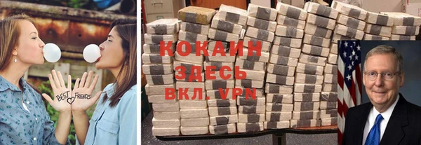 ECSTASY Богданович