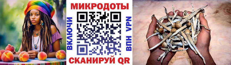 даркнет сайт  Электроугли  Галлюциногенные грибы Psilocybine cubensis 